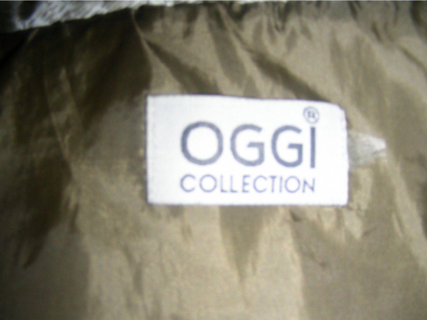 DSCN6376.JPG