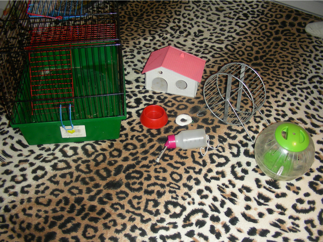 DSCN6342.JPG