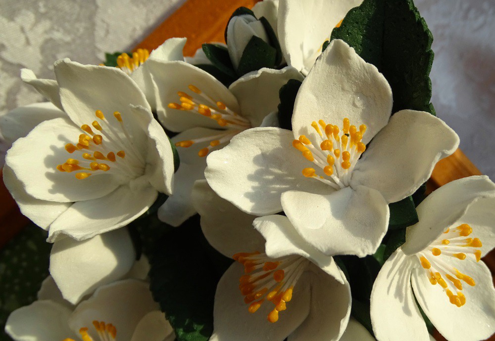 DSC02010 .jpg