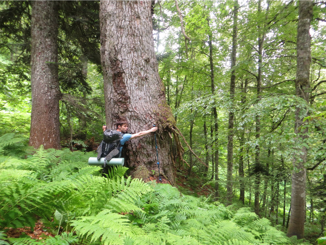 IMG 3869.JPG