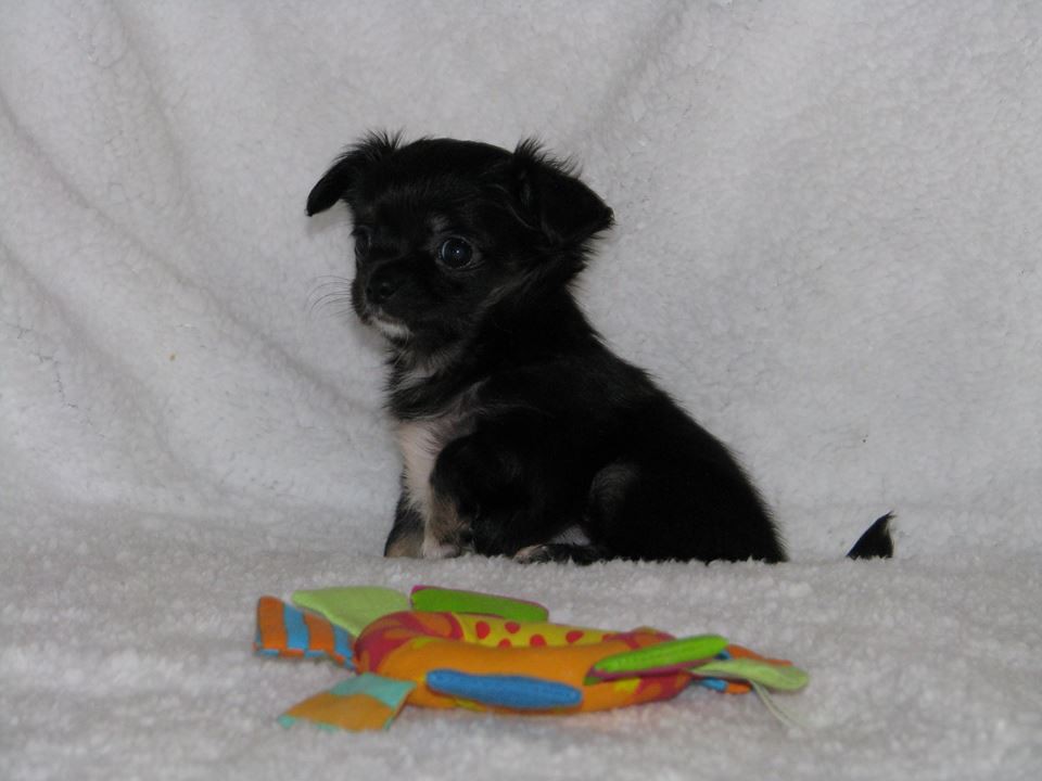 15356526 1223097827756638 5886994491100662293 n.jpg