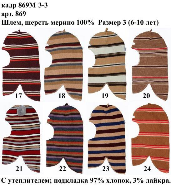 869М3-3.jpg
