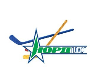 Набор Юный хоккеист (2 клюшки + 2 шайбы) - 230,4 руб