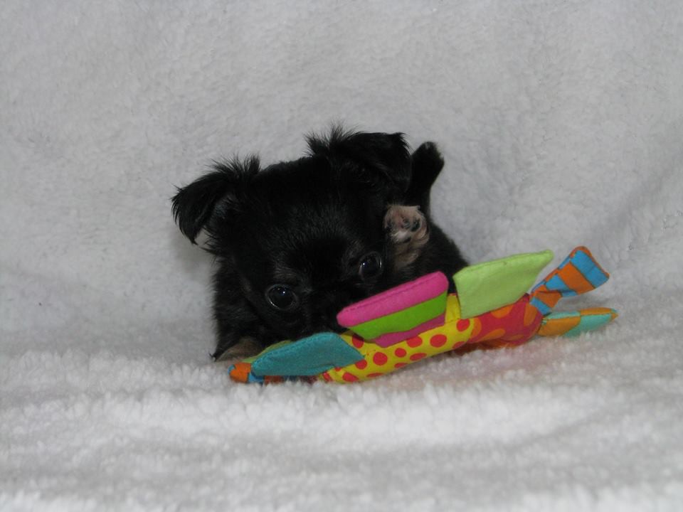 15284143 1223097901089964 3021831322223162063 n.jpg