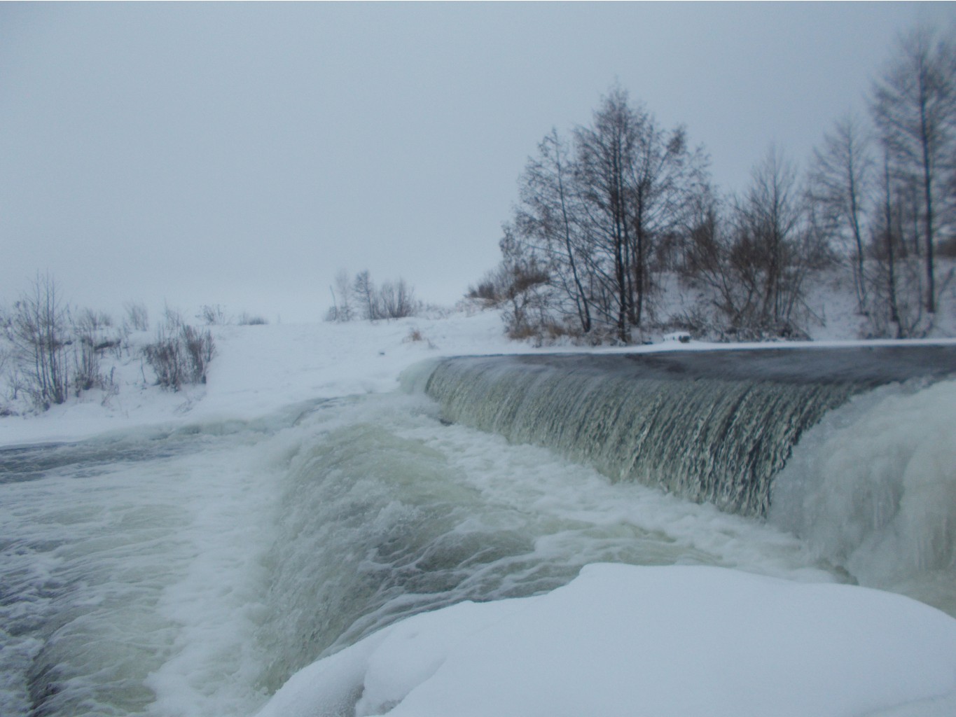 DSCN2745.JPG