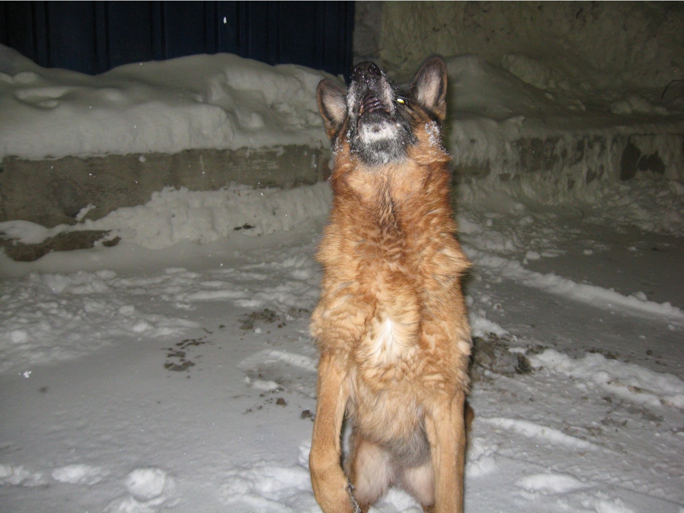 IMG 0027.JPG
