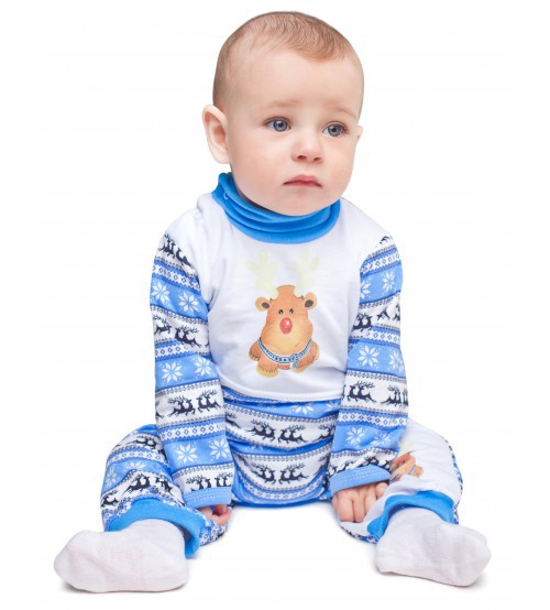 IMG 1960-500x554.jpg