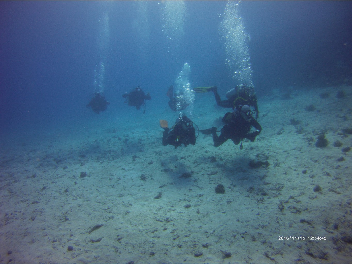 PICT0119.JPG