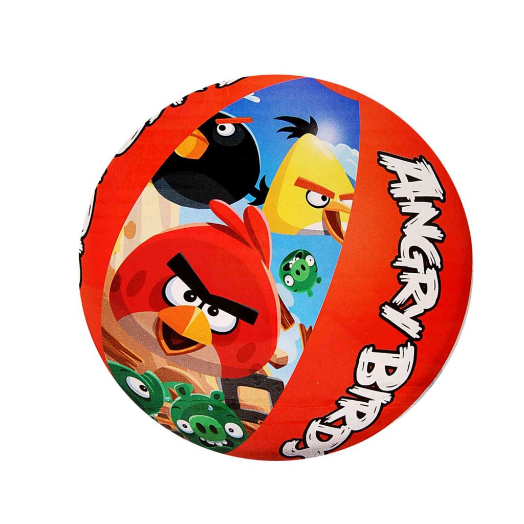 96101   Angry Birds 51