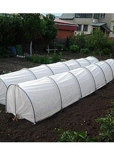  '' 4,5. (   ,  . .)  00095607 336.jpg