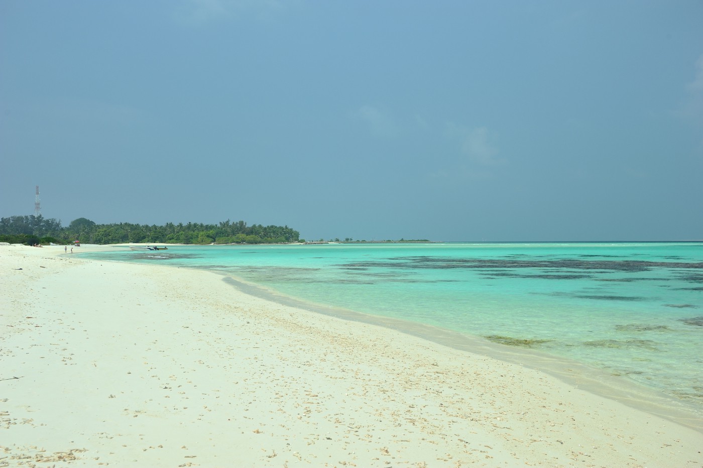 DSC 2474 513.JPG