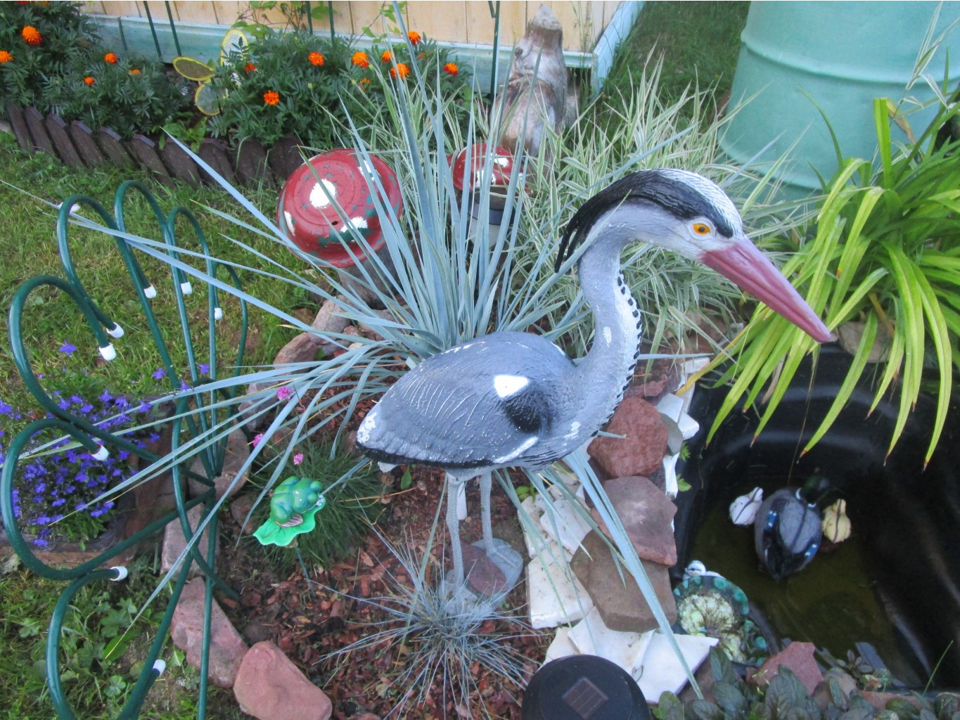 IMG 4160.JPG