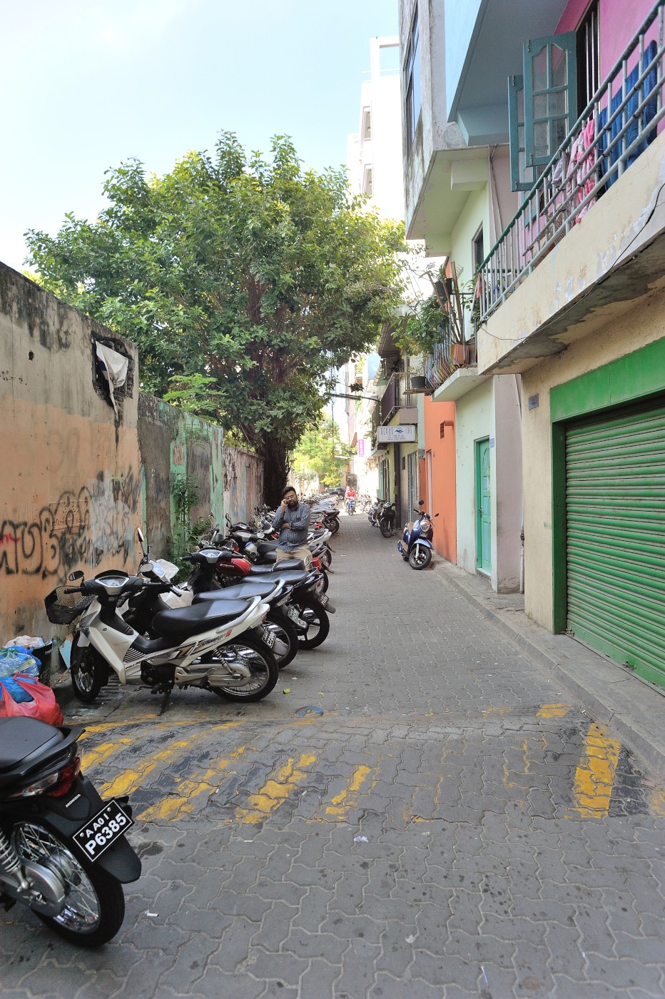 DSC 2511 582.JPG