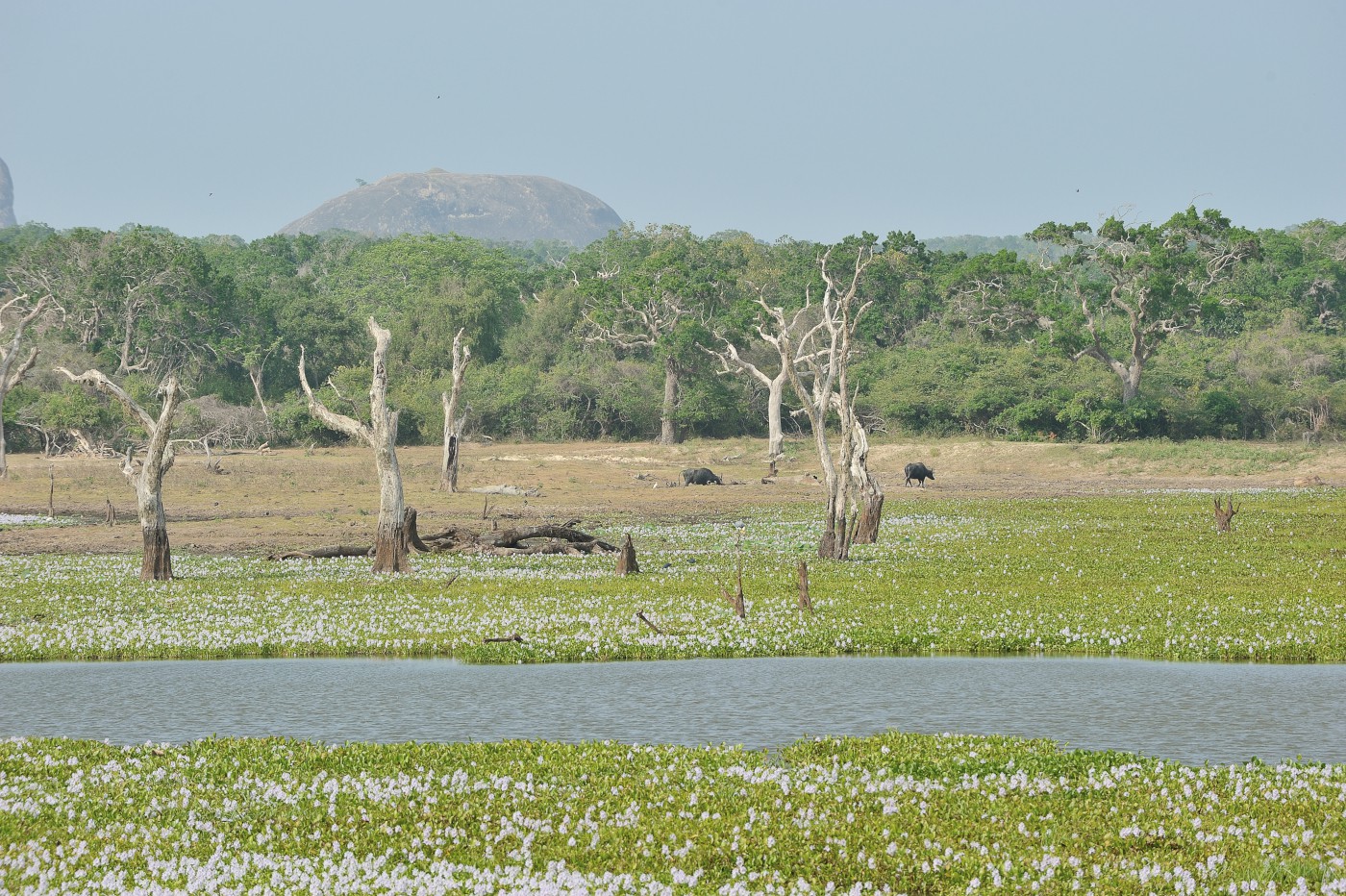 DSC 2762 053.JPG