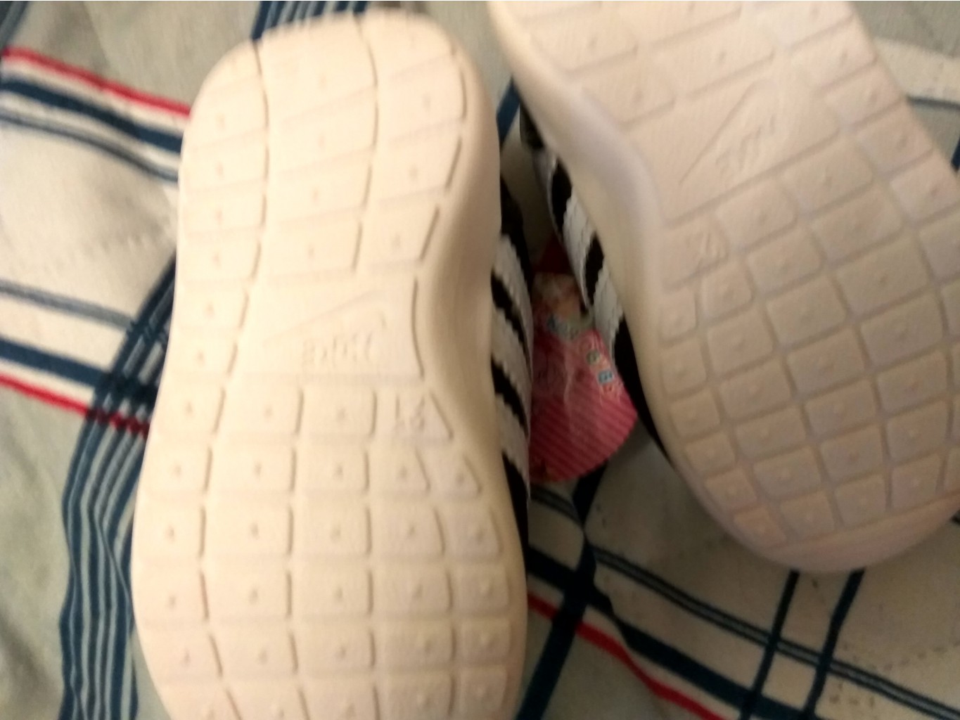 IMG 20170130 192352 HDR.jpg