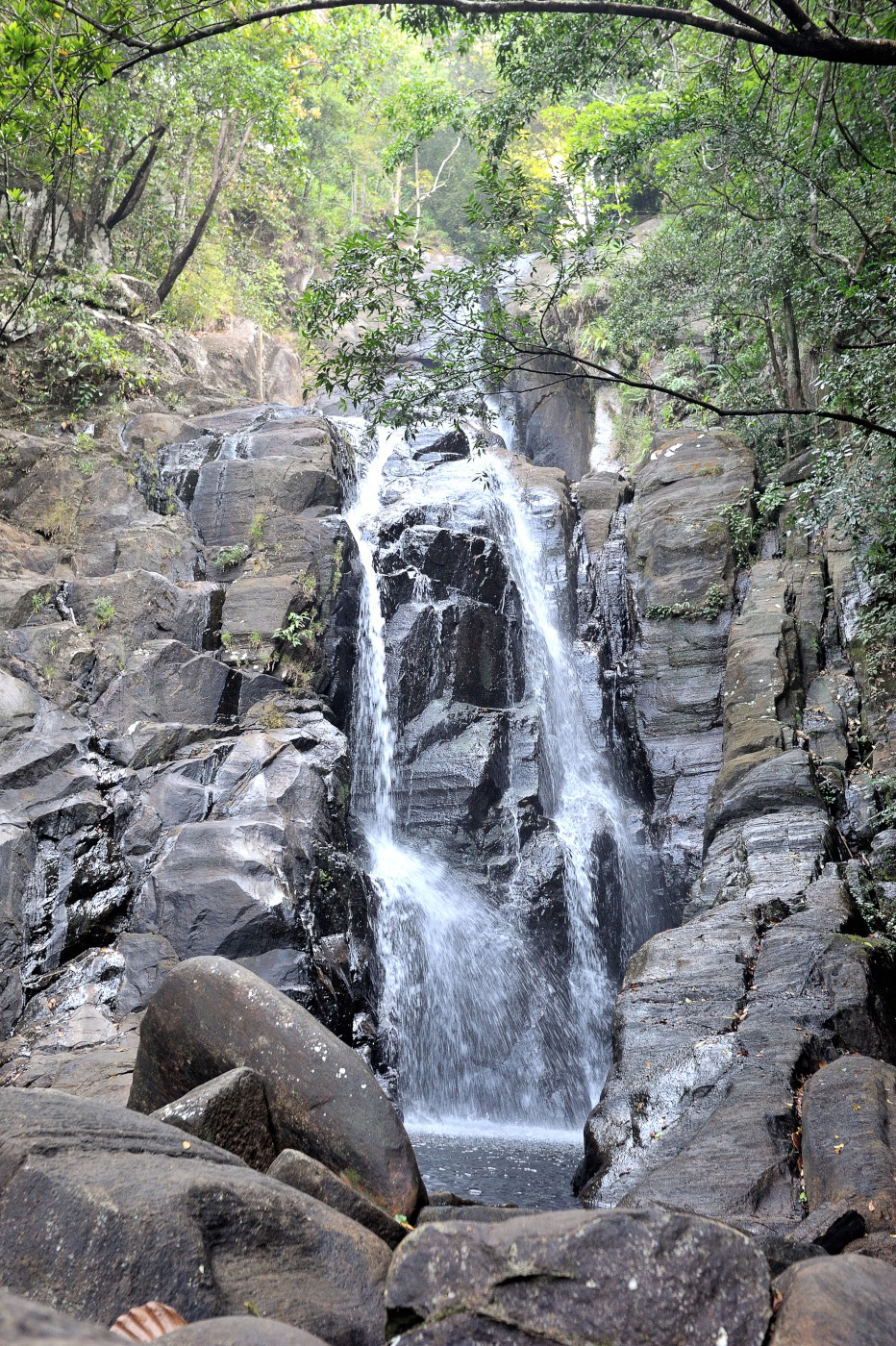 DSC 2624 754.JPG