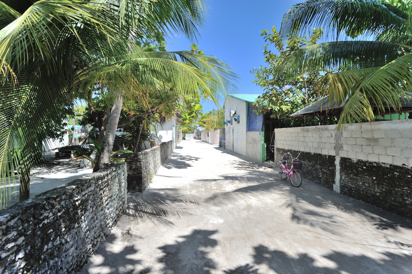 DSC 2299 559.JPG