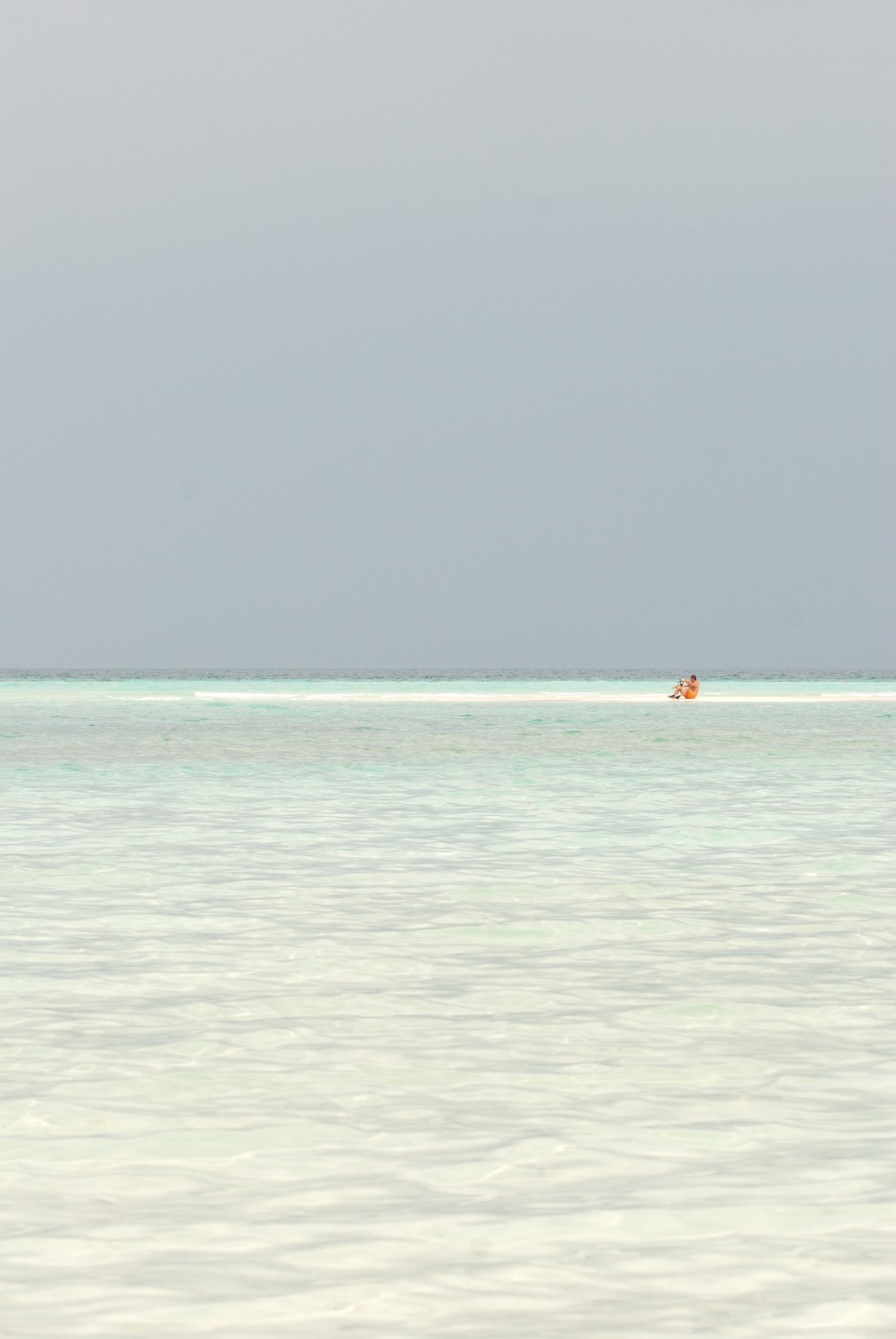 DSC 4364 519.JPG
