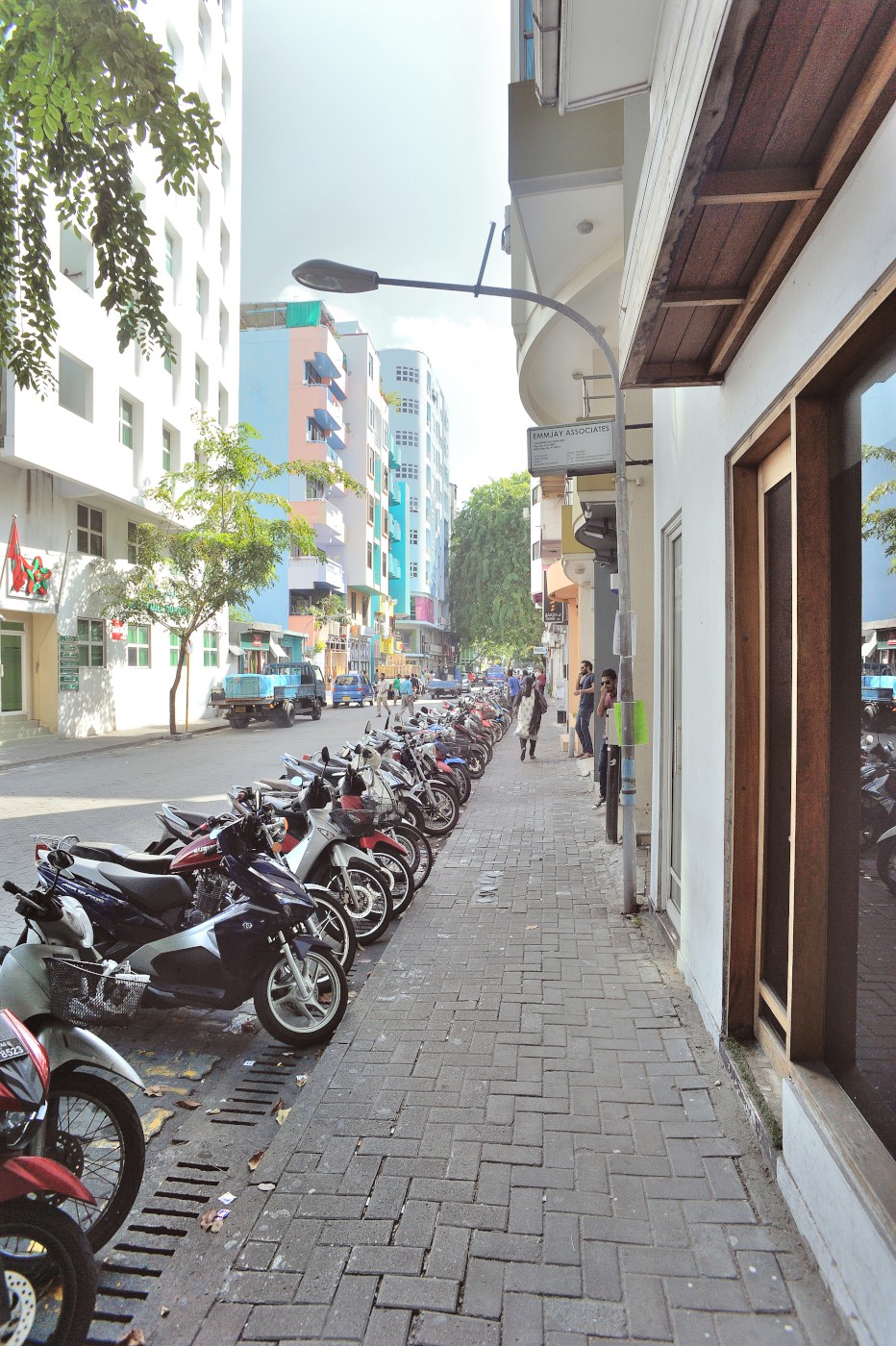 DSC 2513 584.JPG