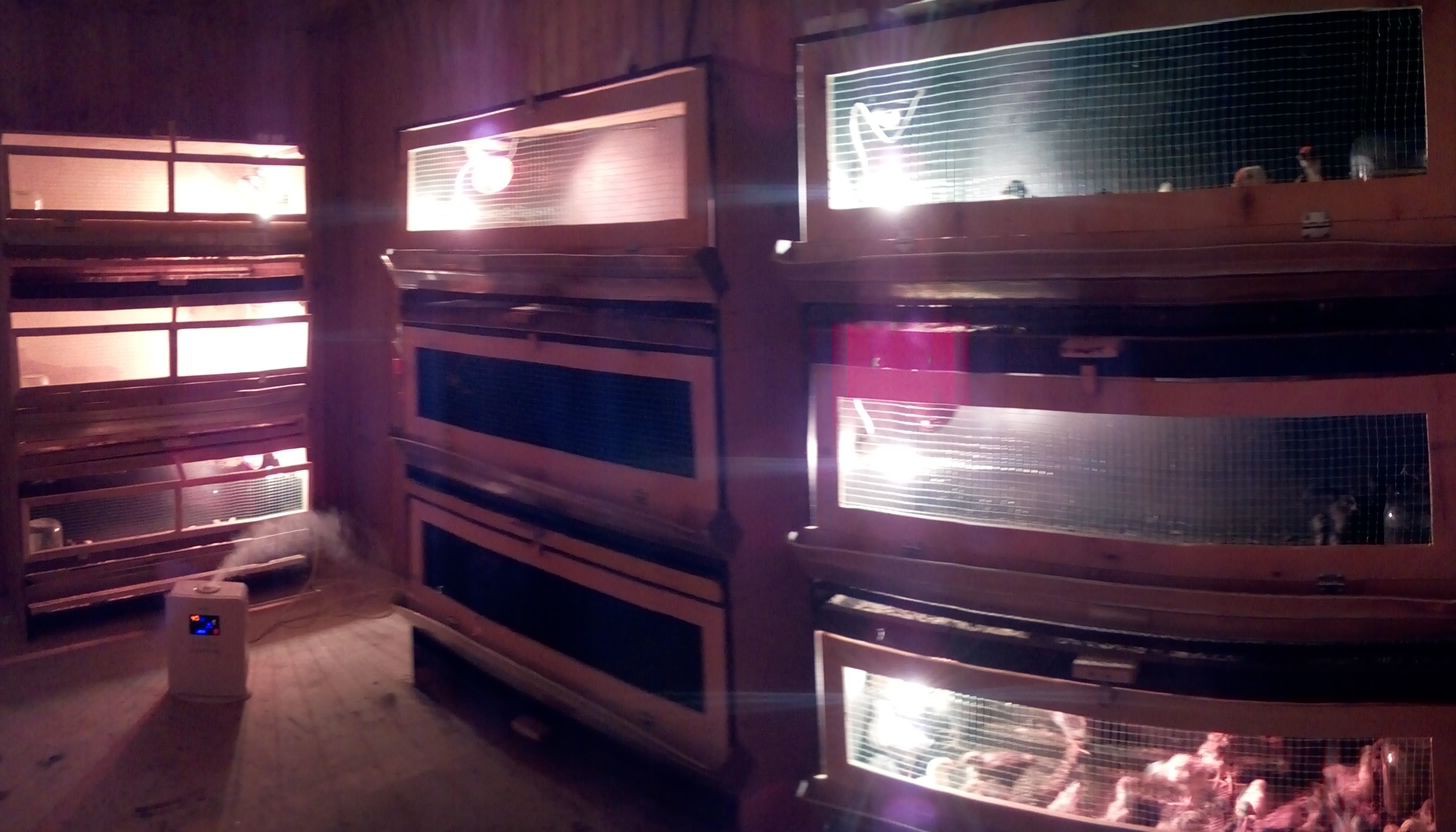 IMG 20160329 210522.jpg