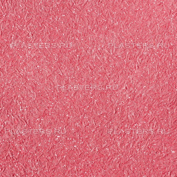 1012.jpg