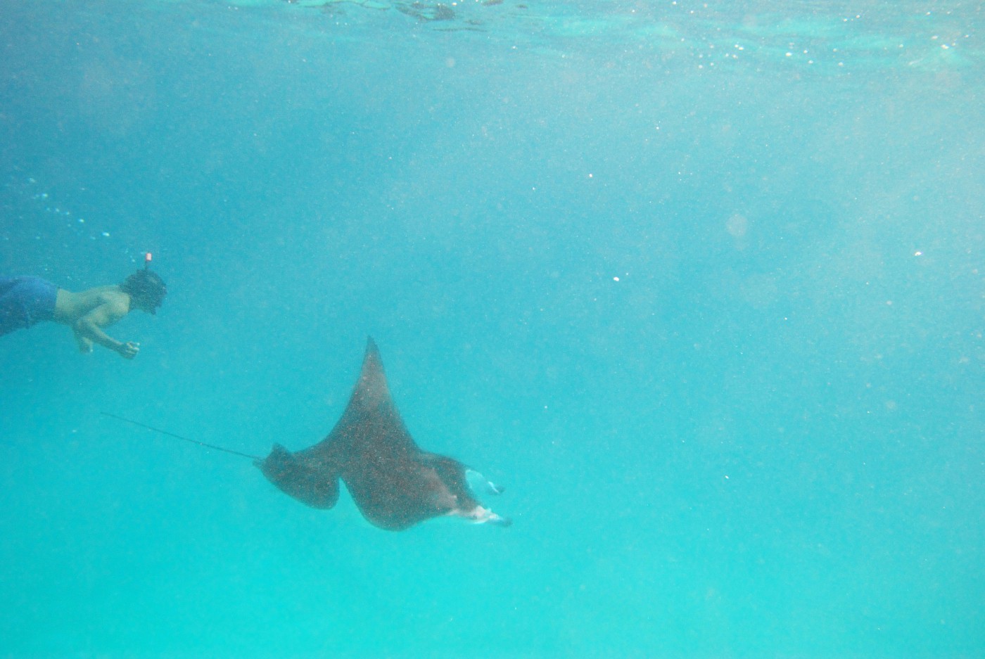 DSC 3962 475.JPG