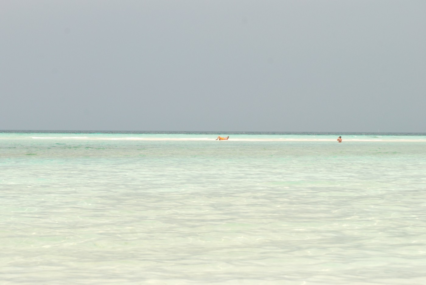 DSC 4363 518.JPG