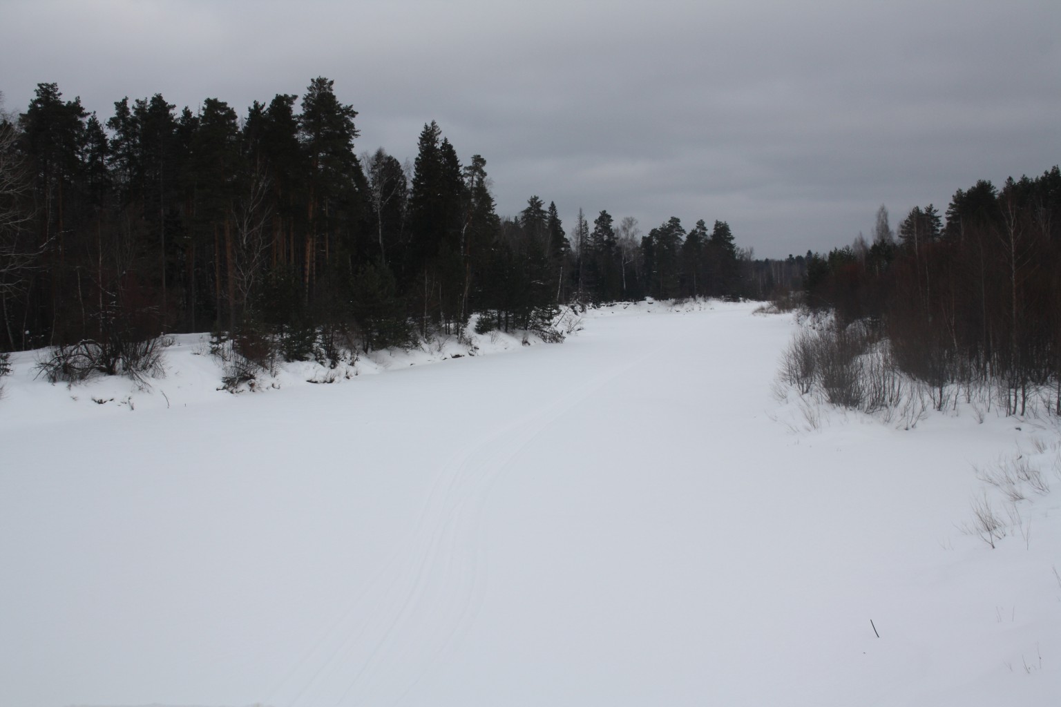 IMG 8668.JPG