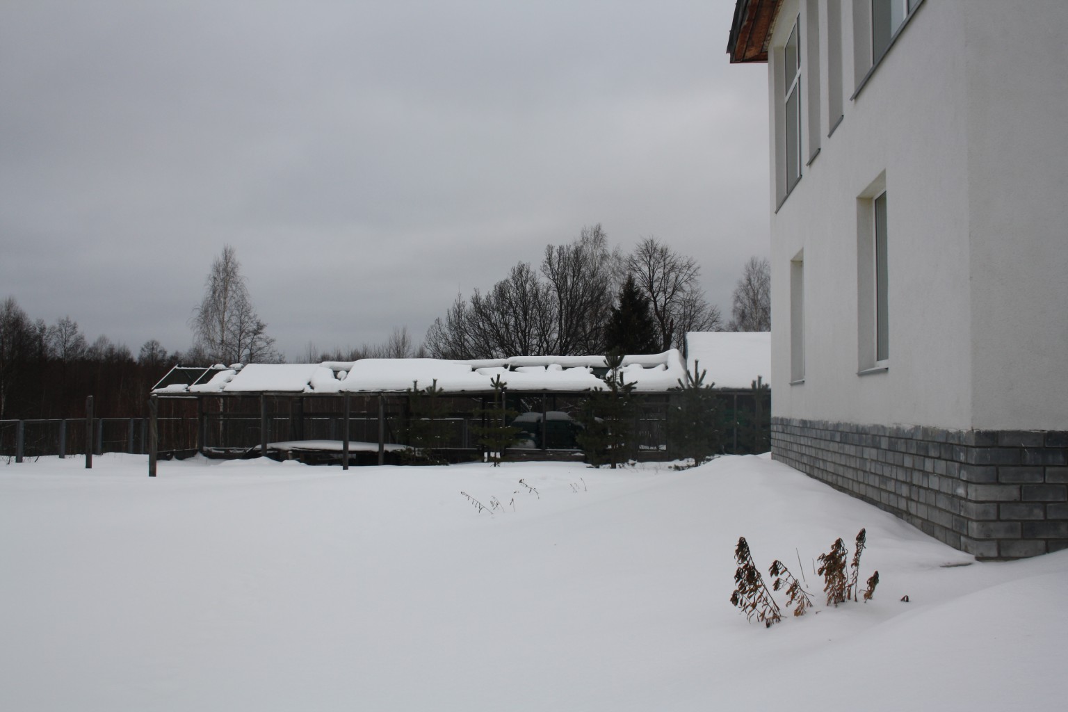 IMG 8639.JPG