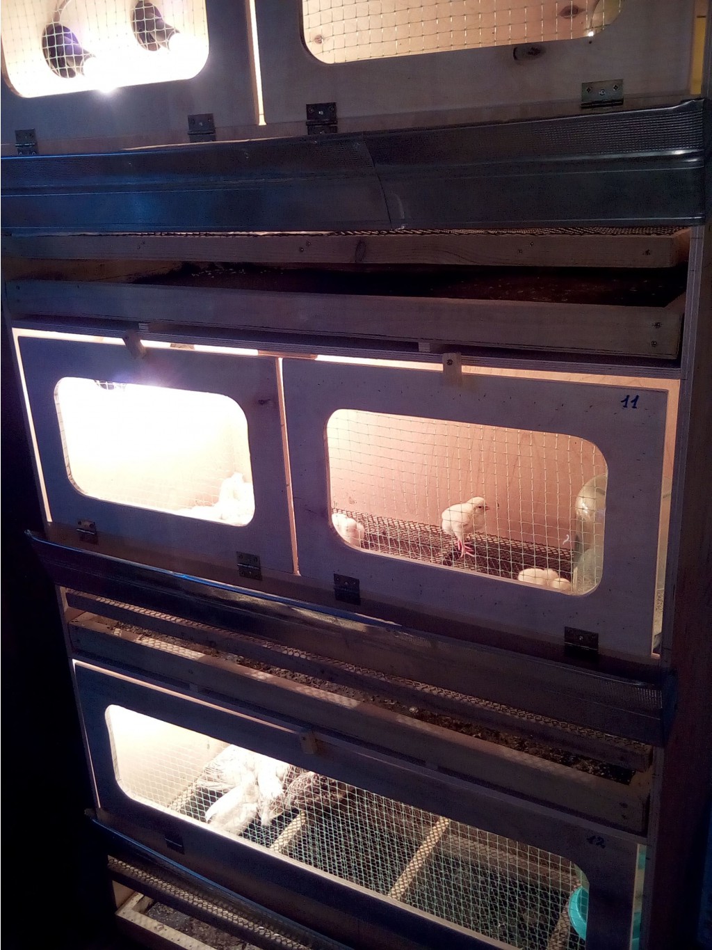 IMG 20160430 192834.jpg