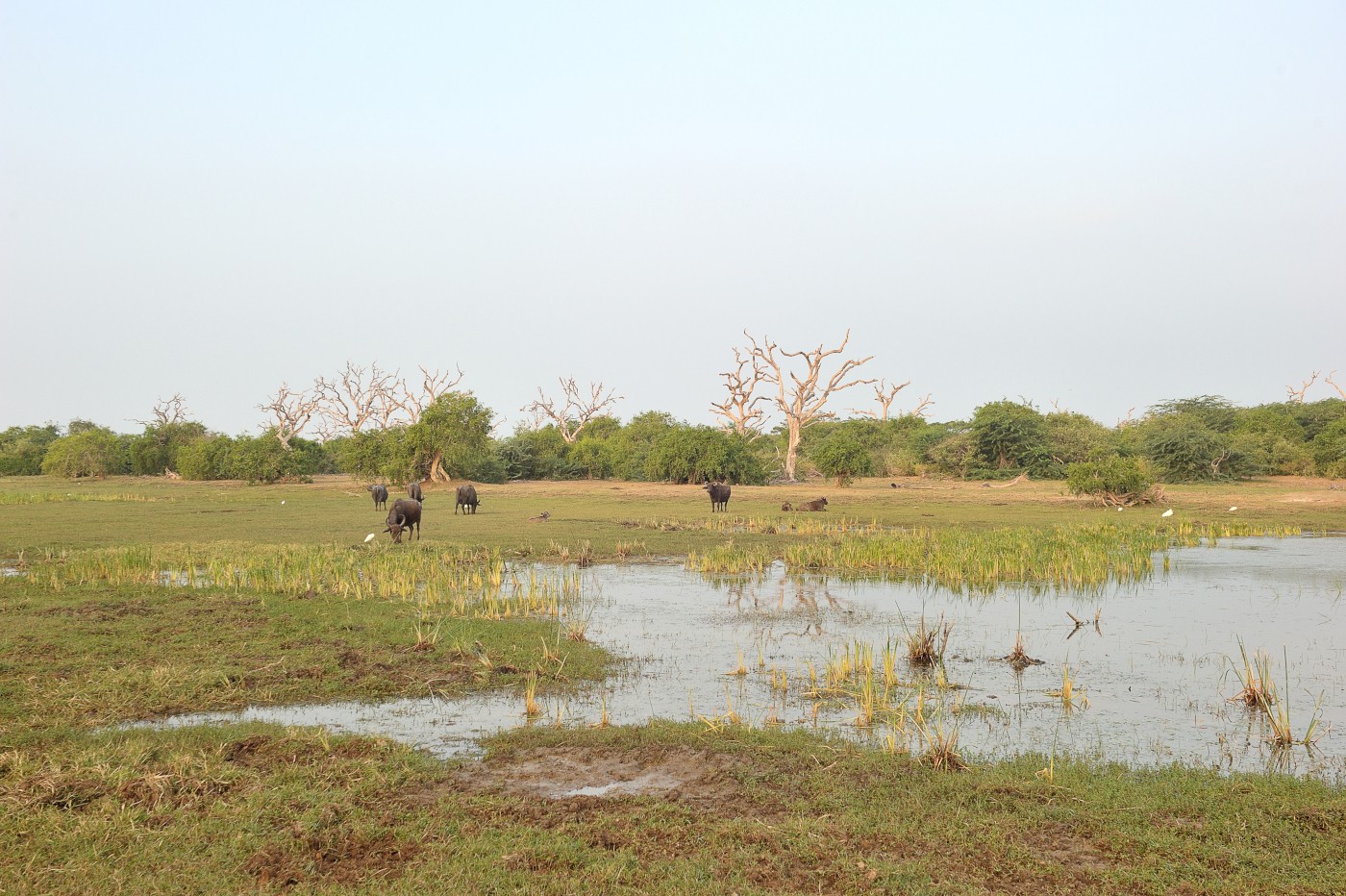 DSC 2767 082.JPG