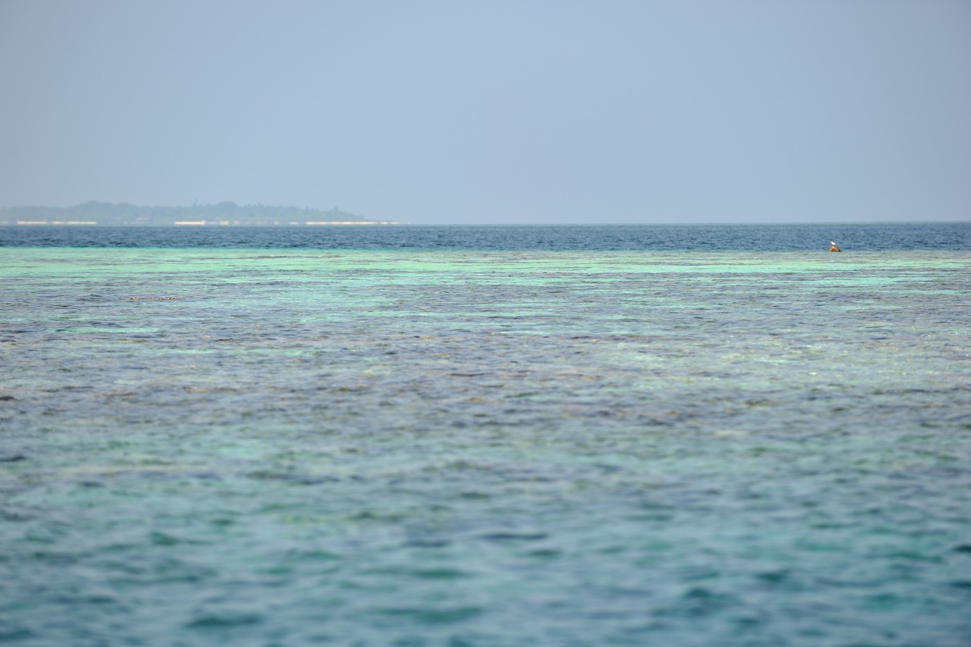 DSC 2396 429.JPG