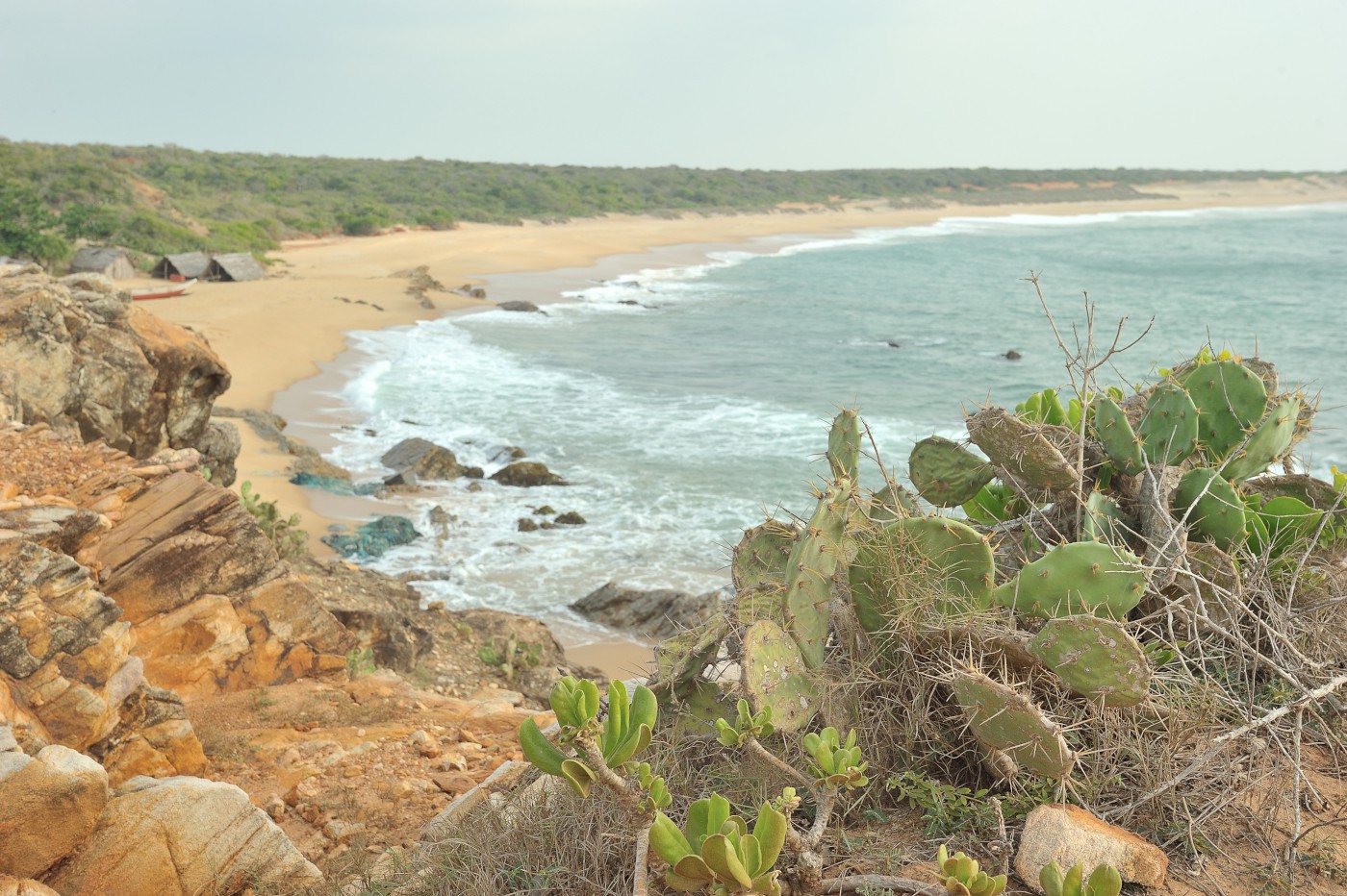 DSC 2781 118.JPG