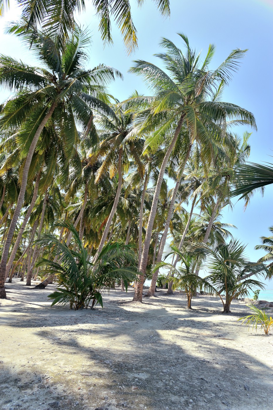 DSC 2508 579.JPG