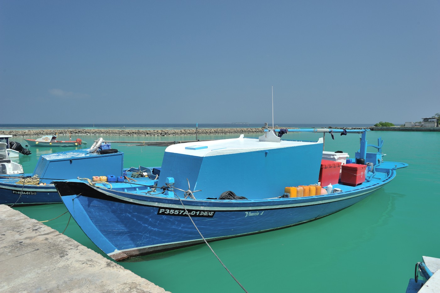 DSC 2366 630.JPG