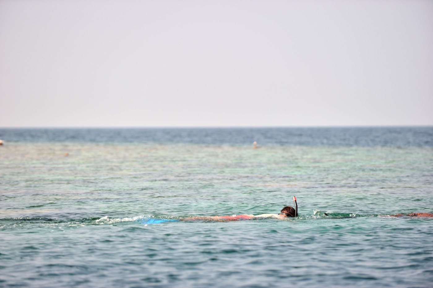 DSC 2405 441.JPG