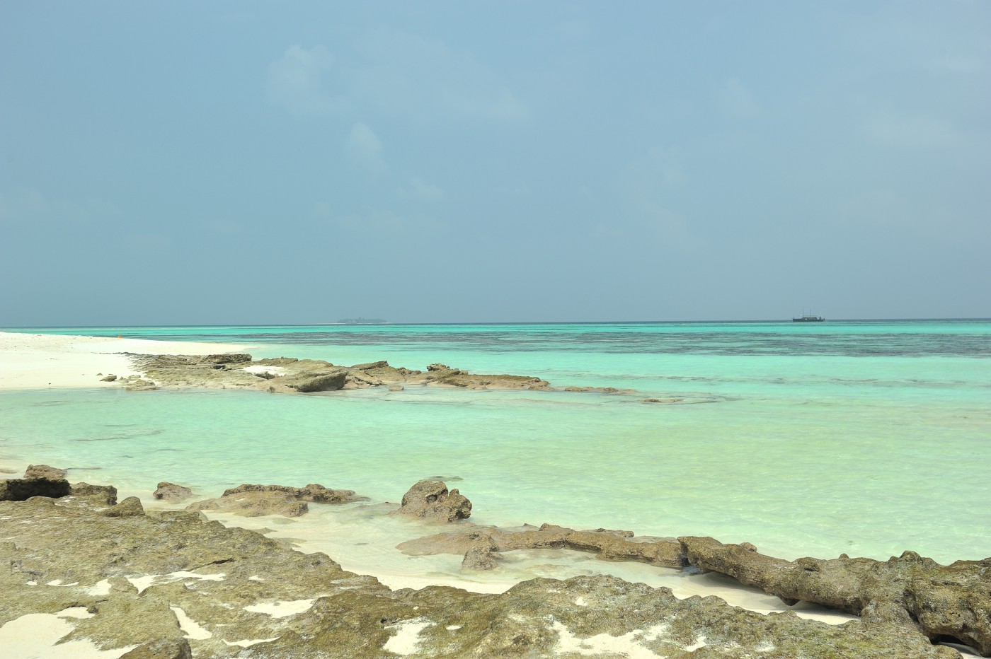 DSC 2468 507.JPG