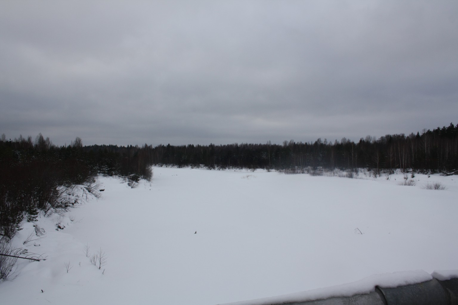IMG 8671.JPG