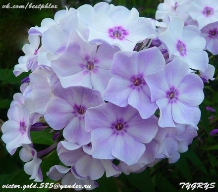  68 -   