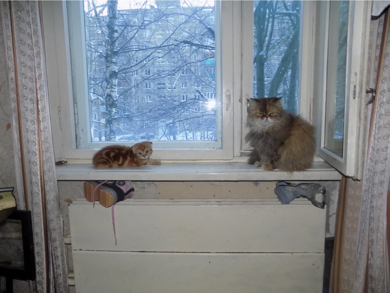 Дети и жевотные 051.jpg