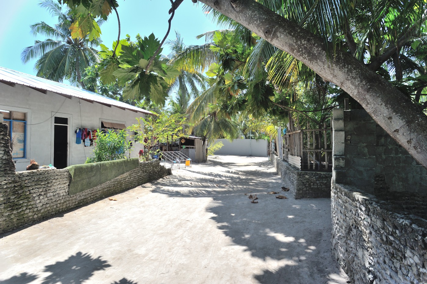 DSC 2298 558.JPG