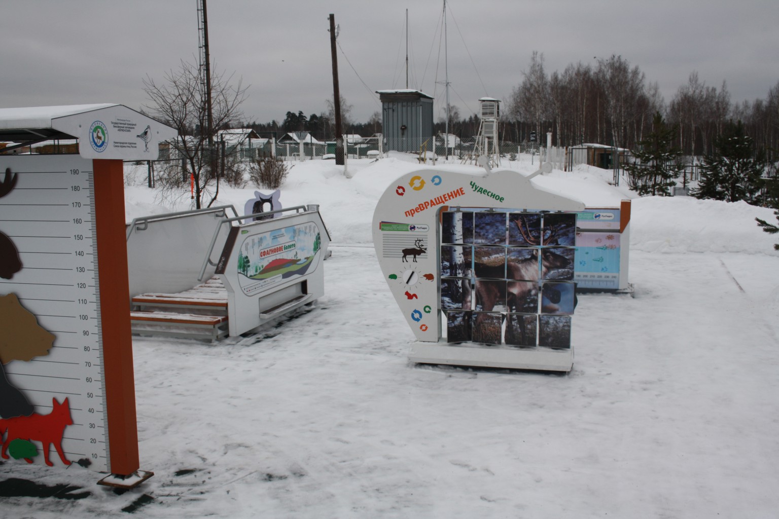 IMG 8624.JPG