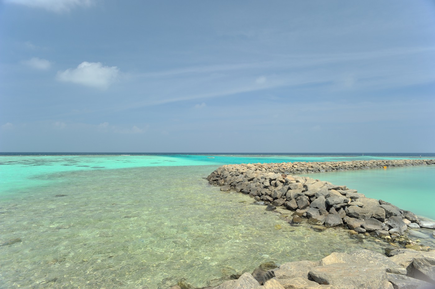 DSC 2250 403.JPG
