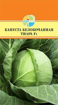 КАПУСТА БЕЛОКОЧАННАЯ ТИАРА F1 24.60+%.jpg