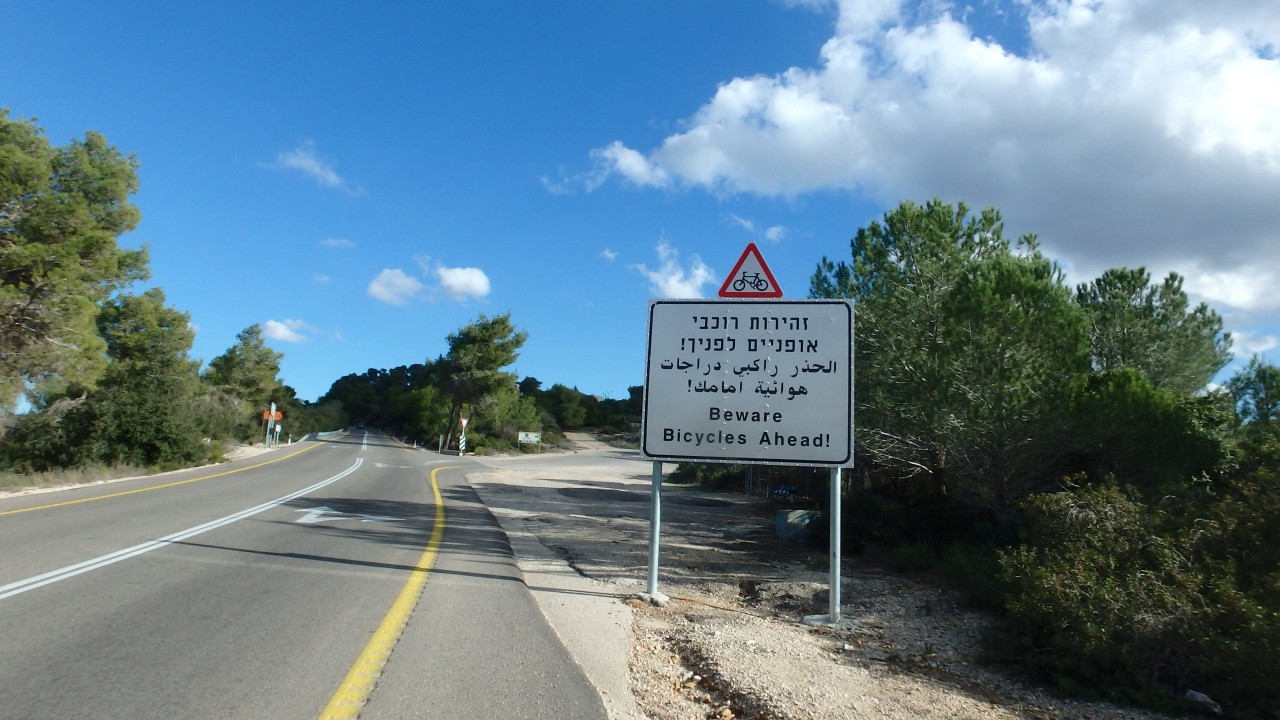 P1010066.jpg