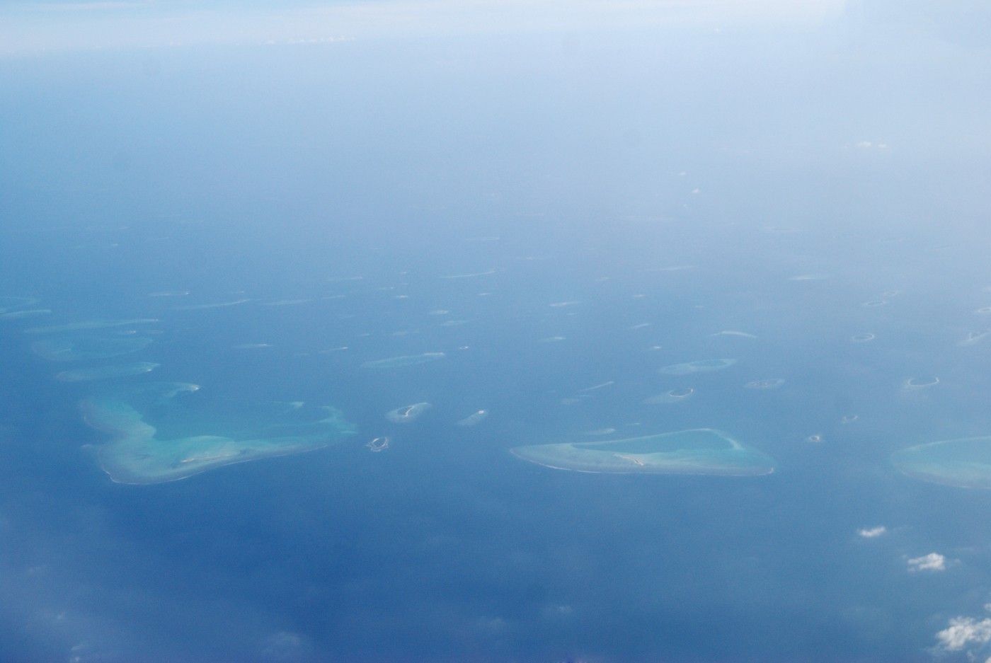 DSC 3772 366.JPG