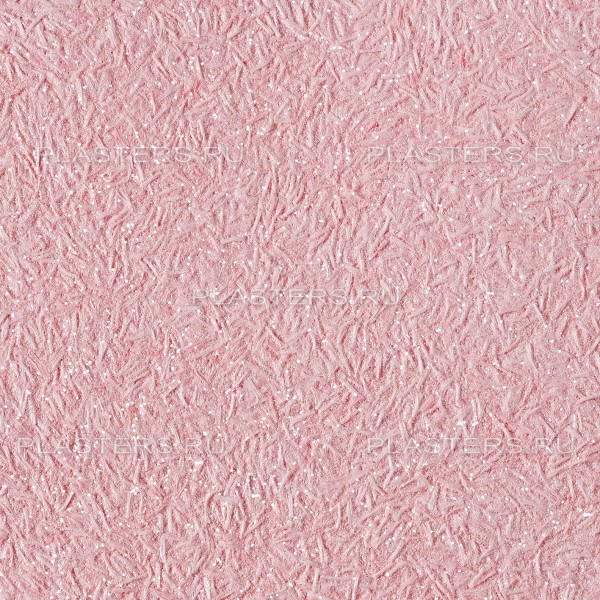 1010.jpg