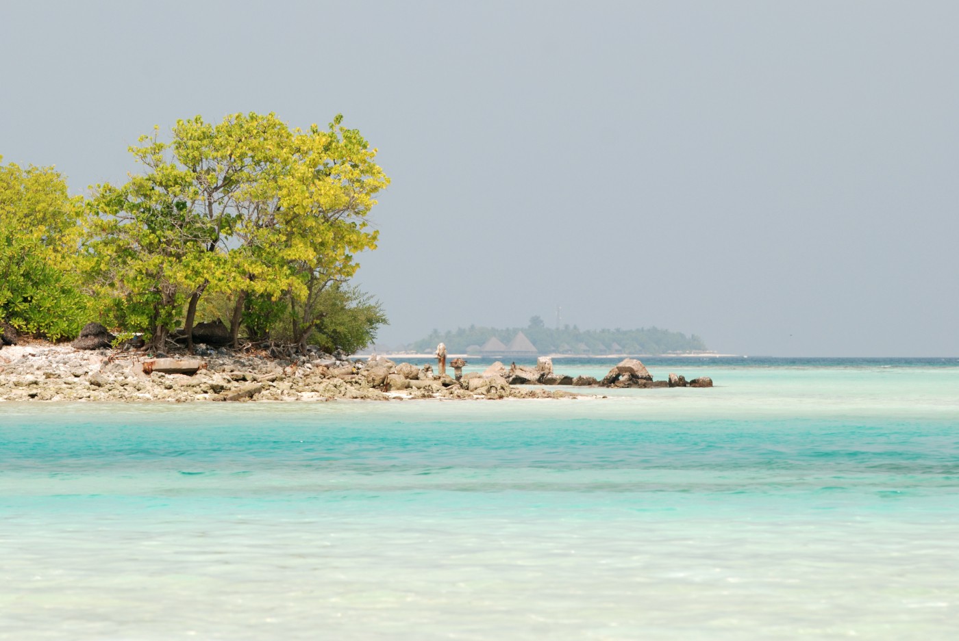 DSC 4370 525.JPG