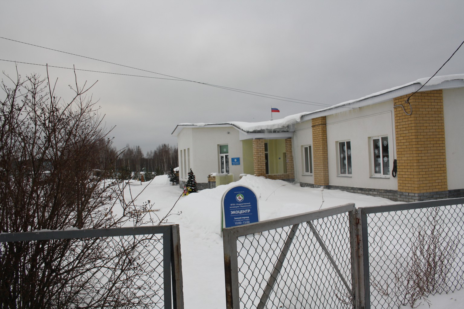 IMG 8621.JPG