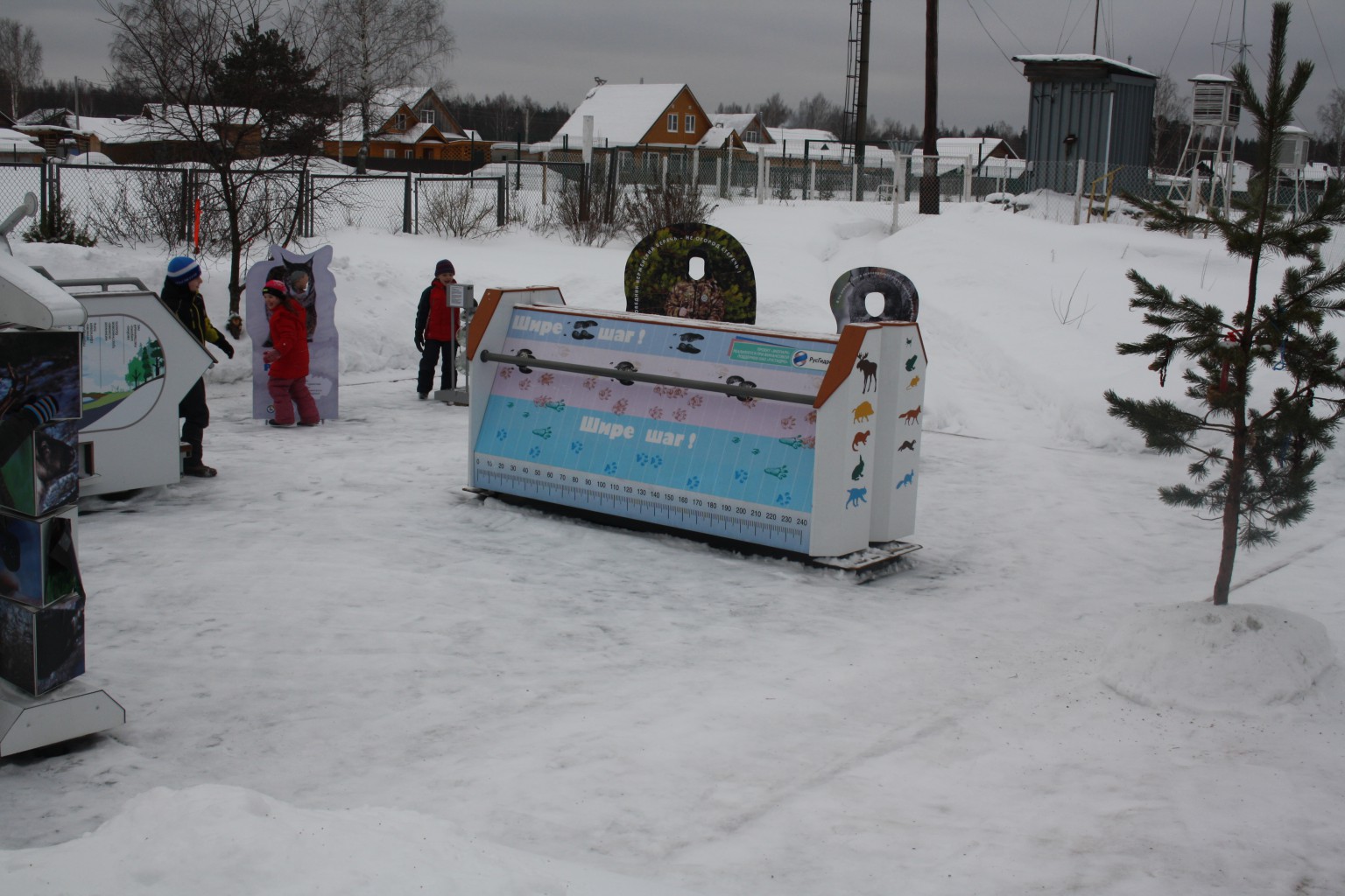 IMG 8627.JPG